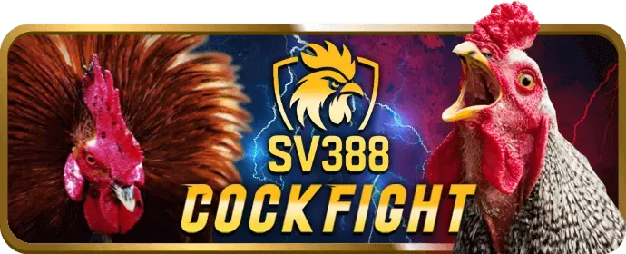 Cá cược thể thao mm88dd